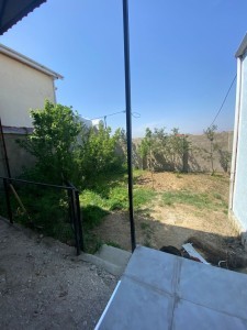 image 377010