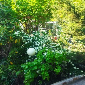 image 377015