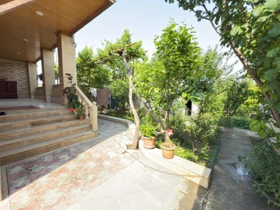 image 377024