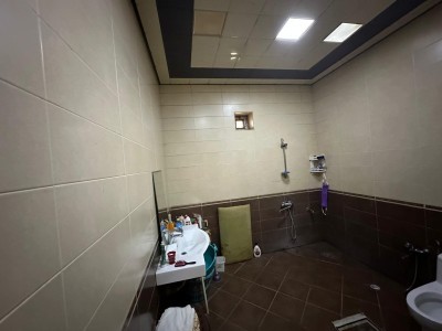 image 377033