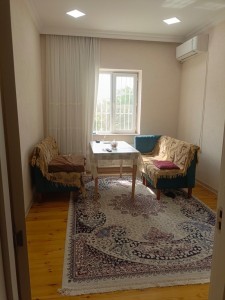 image 377035