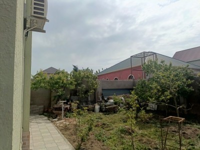 image 377035