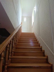 image 377035
