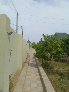 image 377035