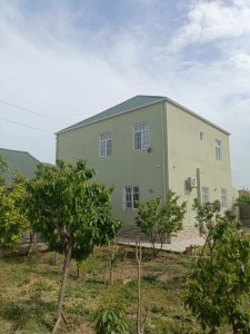 image 377035