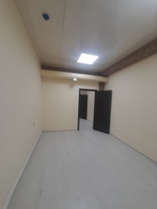 image 377050