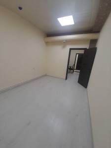 image 377050