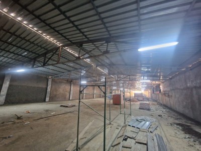 image 377071
