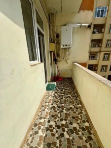 image 377094