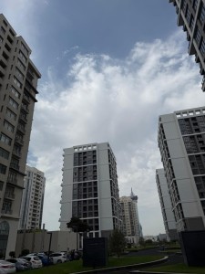 image 377114