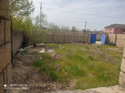 image 377116