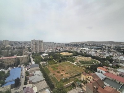 image 377119