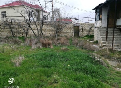 image 377124