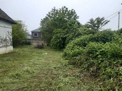 image 377132