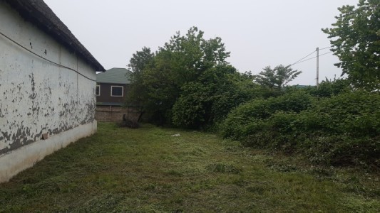 image 377132