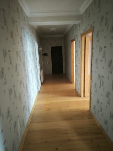 image 377137