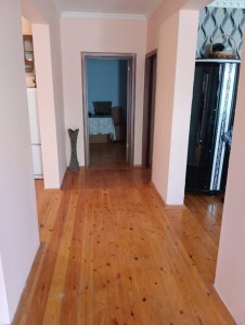 image 377141