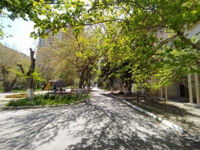 image 377150