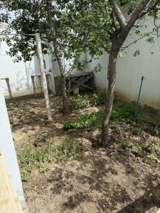 image 377167