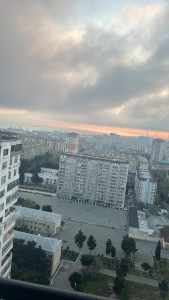 image 377169