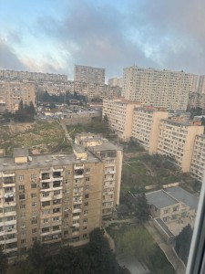 image 377169