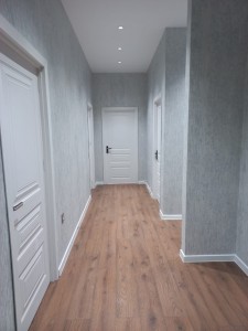 image 377171