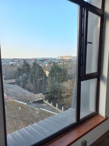 image 377171