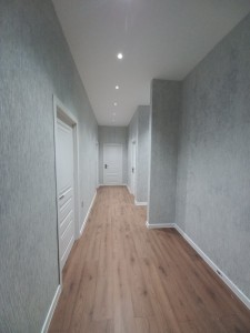 image 377171