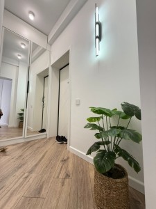 image 377176