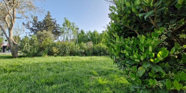 image 377179