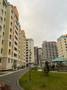 image 377189