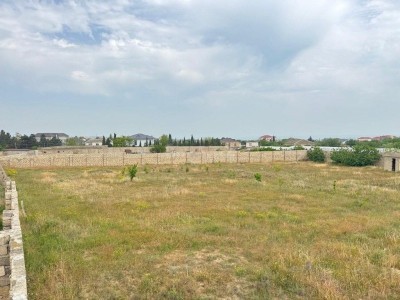 image 377200