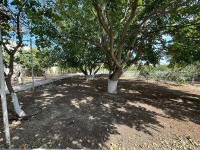 image 377217