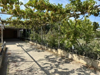 image 377217
