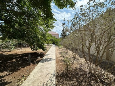 image 377217