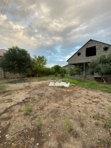image 377219