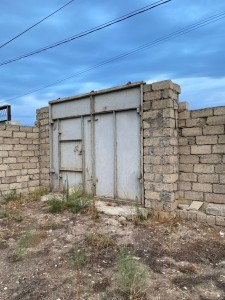 image 377219