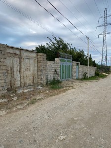 image 377219