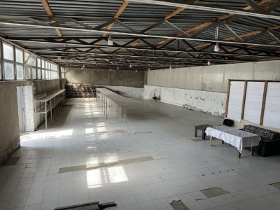 image 377231