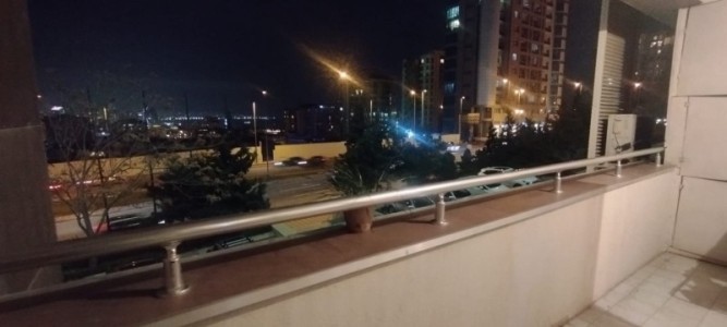 image 377233