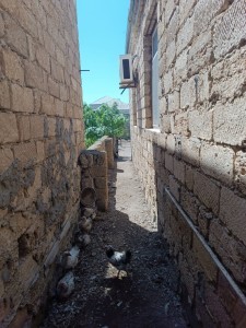 image 377250