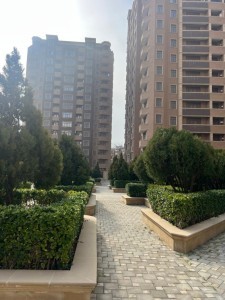image 377277