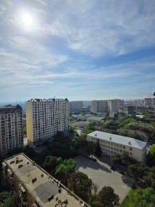 image 377278