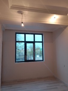 image 377304