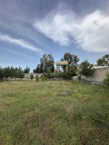 image 377306