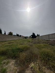 image 377309