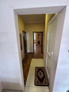 image 377340