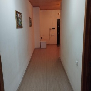 image 377361
