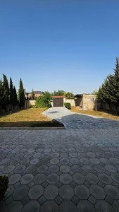 image 377362