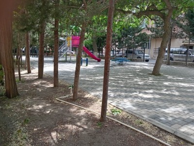 image 377379